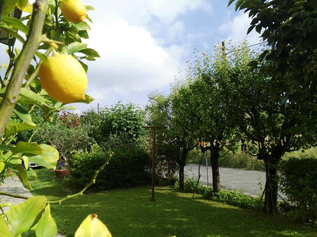 Casa Mite Apartman Pietrasanta Kültér fotó